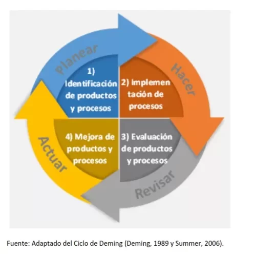 Diseño de Mapas de Procesos y Procedimientos